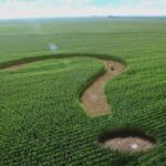 Чи стали фермери більш незалежними після реформ