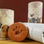 Що таке кремація тварин і як вона відбувається?